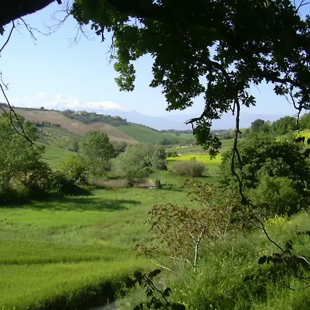 Bed & Breakfast Le Cicale 4*