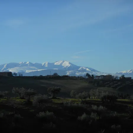 Le Cicale Bed & Breakfast 4*